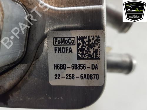 Oil radiator FORD FOCUS IV Turnier (HP) 1.0 EcoBoost mHEV | BP23091558M33 