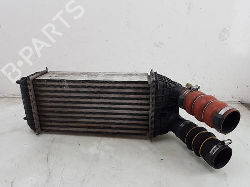 Used Intercooler CITROËN C3 III (SX) 1.2 THP 110 (SXHNPS, SXHNZT, SXHNZ6) (110 hp) 28602853