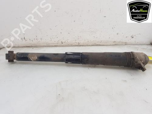 Right rear shock absorber VW TIGUAN (AD1, AX1) 1.4 TSI (125 hp) 18016156