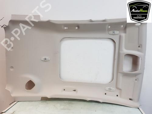 Tecto interior Tecto interior FORD C-MAX II (DXA/CB7, DXA/CEU) 1.0 EcoBoost (125 hp) 15555738 15555738