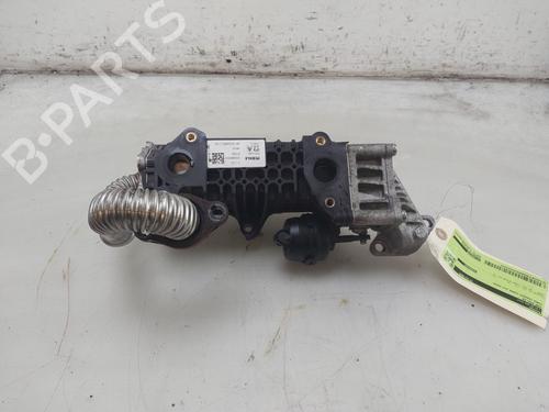 Used Egr Egr FORD TRANSIT CONNECT V408 Box Body/MPV 1.5 EcoBlue (101 hp) 33286789 33286789