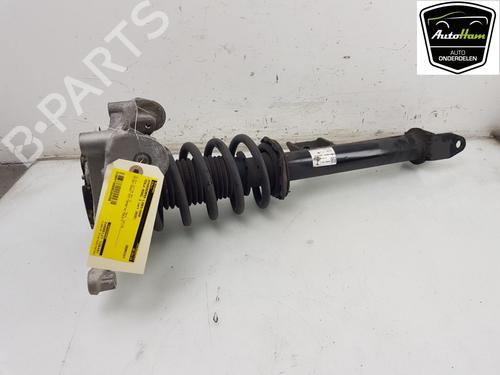 Left front shock absorber TESLA MODEL 3 (5YJ3) EV AWD | BP17121713M16 