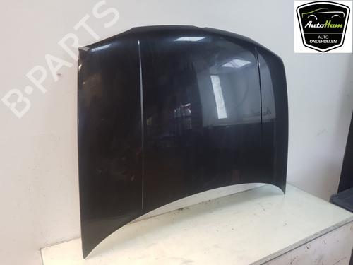 Hood VW GOLF IV (1J1) 1.6 | BP12038411C1 