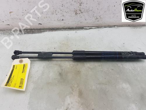 Hood lift support RENAULT EXPRESS Box Body/MPV 1.5 Blue dCi 95 (F6AB) | BP20292615C139