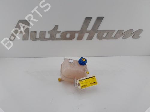 Used Expansion tank FIAT DOBLO Cargo (263_) 1.3 D Multijet (263ZXT1A, 263WXT1A, 263ZYA1A, 263WYA1A) (80 hp) 12035044