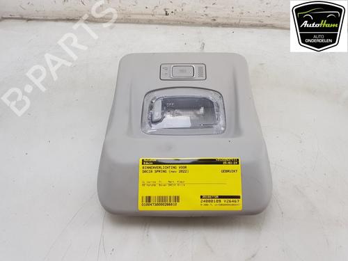 Innerbelysning DACIA SPRING EV (B6M1) (45 hp) 17358897