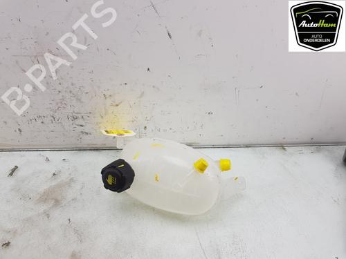 Used Expansion tank RENAULT EXPRESS Box Body/MPV 1.5 Blue dCi 75 (F6AA) (75 hp) 17762959