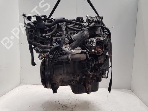 engine-ford-fiesta-vi-cb1-ccn-2008-26165026 main image
