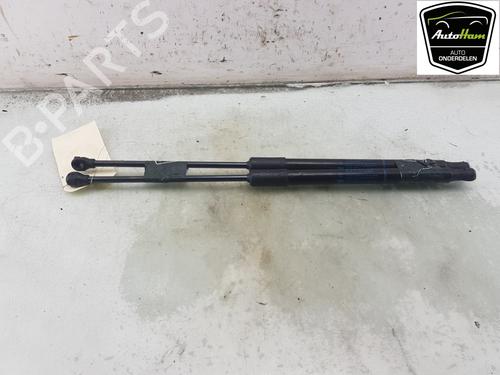 Hood lift support RENAULT EXPRESS Box Body/MPV 1.5 Blue dCi 95 (F6AB) | BP20292615C139