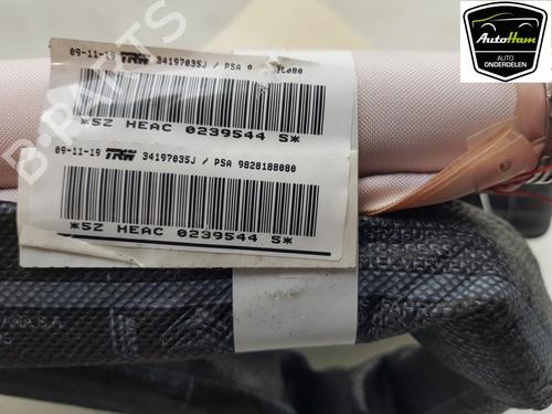 Left curtain airbag PEUGEOT 5008 II (MC_, MJ_, MR_, M4_) 1.2 THP (MRHNYH, MRHNYW, MRHNSJ, MRHNSU, MRHNSM) | BP21216481C11