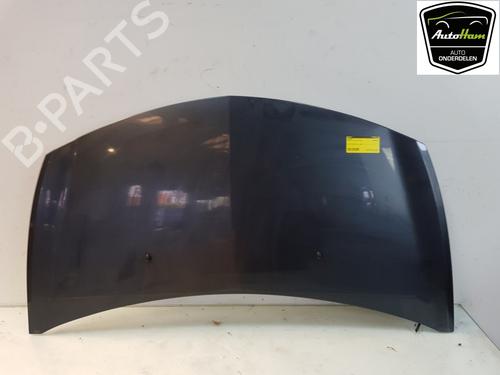 Hood RENAULT CLIO III (BR0/1, CR0/1) 1.4 16V | BP12037921C1 