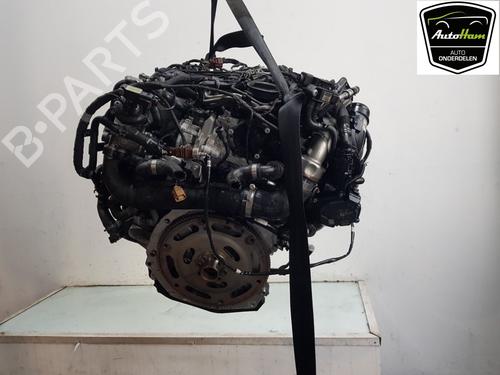 Engine AUDI A4 B9 Avant (8W5, 8WD) 2.0 TDI | BP16473975M1 