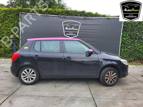 Used Right rear door SKODA FABIA II (542) 1.2 12V (60 hp) 18742154