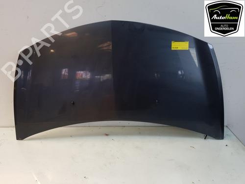 Hood RENAULT CLIO III (BR0/1, CR0/1) 1.4 16V | BP12037921C1 