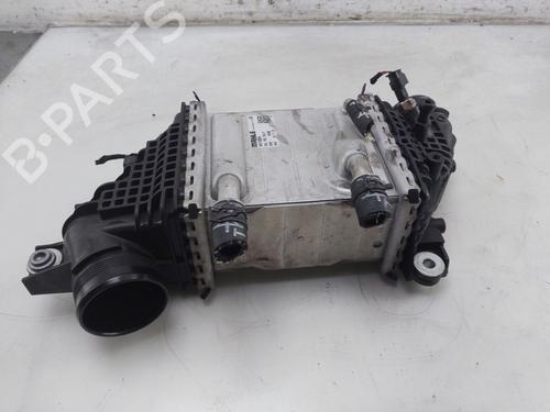 Intercooler VW TRANSPORTER T6 Van (SGA, SGH, SHA, SHH) 2.0 TDI (150 hp) 31946180