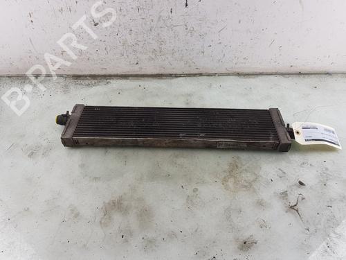 Used Water radiator PORSCHE PANAMERA (971) 2.9 4 E-Hybrid (97ABE1, 97BBE1, 97ABX1) (462 hp) 29910026