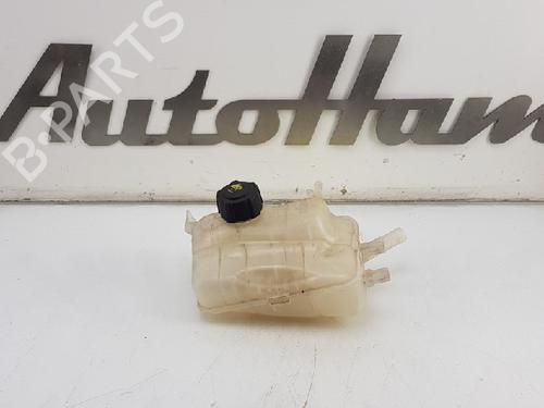 Used Expansion tank RENAULT MEGANE III Coupe (DZ0/1_) 2.0 TCe (DZ1N) (250 hp) 12013667