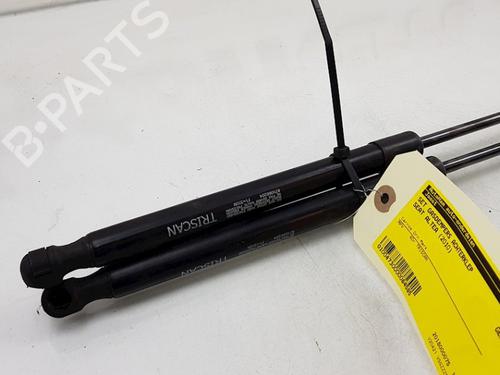 Tailgate lift support SEAT ALTEA XL (5P5, 5P8) 1.9 TDI | BP25601900C138 