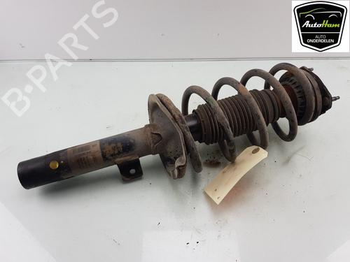 Used Left front shock absorber Left front shock absorber FORD TRANSIT CONNECT (P65_, P70_, P80_) 1.8 Di (75 hp) 12049821 12049821