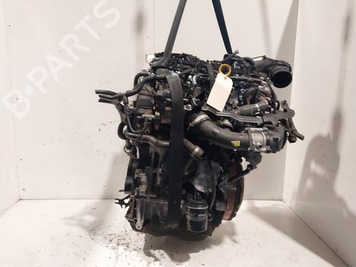 Motor für VW POLO V (6R1, 6C1) 1.4 TDI (75 hp) 31922890