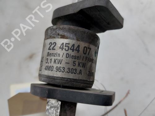 Fuel pump PORSCHE MACAN (95B) 2.0 | BP29743982M76 