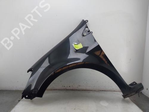 Voorscherm links Voorscherm links RENAULT CLIO III (BR0/1, CR0/1) 1.4 16V (98 hp) 37487135 37487135