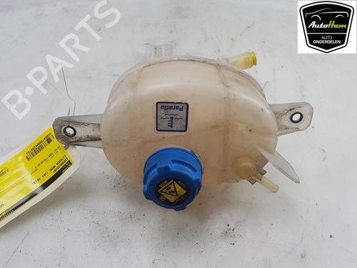 Expansion tank CITROËN NEMO Box Body/MPV (AA_) 1.3 HDi 75 1622715480 | 1323CT