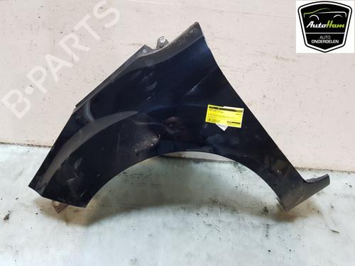 Left front fenders FORD FIESTA VI (CB1, CCN) 1.25 | BP22236972C41 