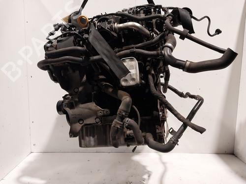 Motor VW CADDY III Box Body/MPV (2KA, 2KH, 2CA, 2CH) 1.6 TDI | BP29823429M1 