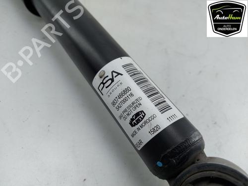 Left rear shock absorber OPEL CORSA F (P2JO) 1.2 (68) | BP12067169M18 