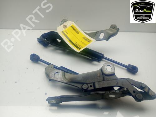 Hinge/Door check strap MINI MINI (R56) One | BP22634844C146 