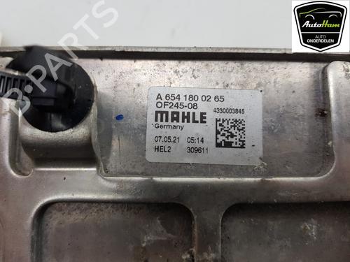 Oil radiator MERCEDES-BENZ VITO Van (W447) 116 CDI (447.601, 447.603, 447.605) | BP12049392M33 