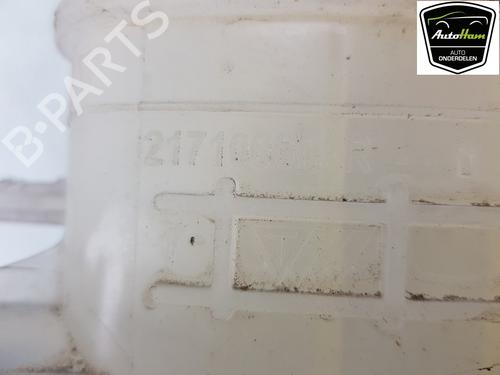 Expansion tank RENAULT MEGANE III Coupe (DZ0/1_) 2.0 TCe (DZ1N) | BP19771690C120 