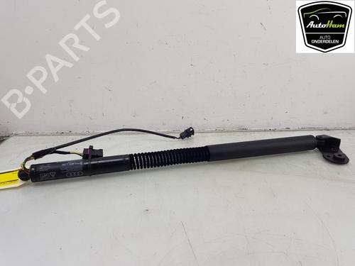 Electronic module AUDI A7 Sportback (4GA, 4GF) 3.0 TDI quattro | BP19667599M83 