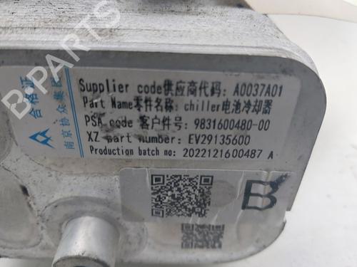 Other PEUGEOT 208 II (UB_, UP_, UW_, UJ_) e-208 | BP30388419O1 