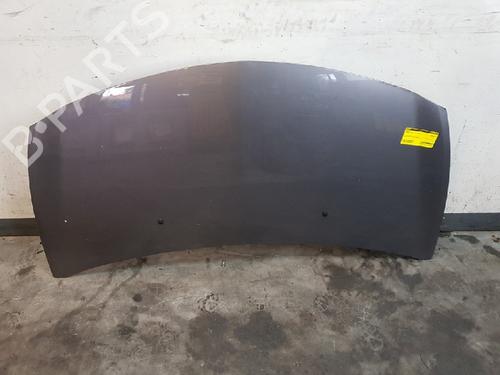 Hood RENAULT CLIO III (BR0/1, CR0/1) 1.2 16V | BP12019333C1 