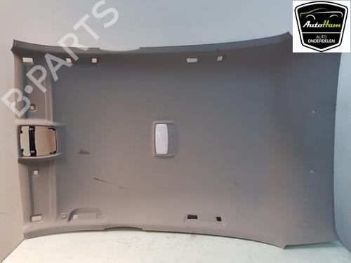 Interiør taket BMW 1 (F20) 118 d (150 hp) 12040009