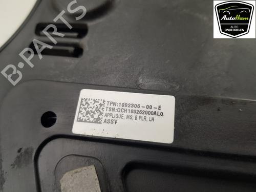 Other TESLA MODEL S (5YJS) 75D AWD | BP17121934O1