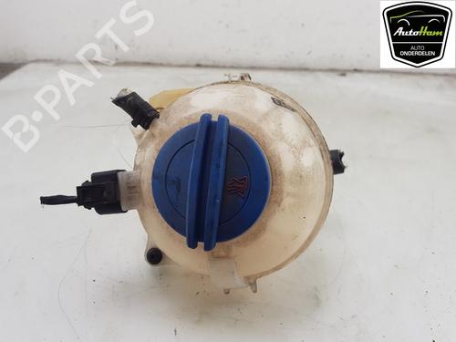 Used Expansion tank SKODA RAPID (NH3, NK3, NK6) 1.2 TSI (90 hp) 21824326