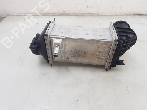 Intercooler VW POLO VI (AW1, BZ1, AE1) 1.0 TSI | BP28358238M30 
