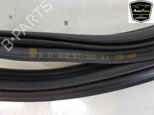 Rubber door seal VW POLO VI (AW1, BZ1, AE1) 1.0 TSI | BP13149594C142 