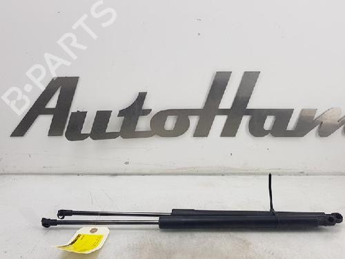 Used Tailgate lift support VW GOLF VII (5G1, BQ1, BE1, BE2) 1.4 TSI (125 hp) 13142869