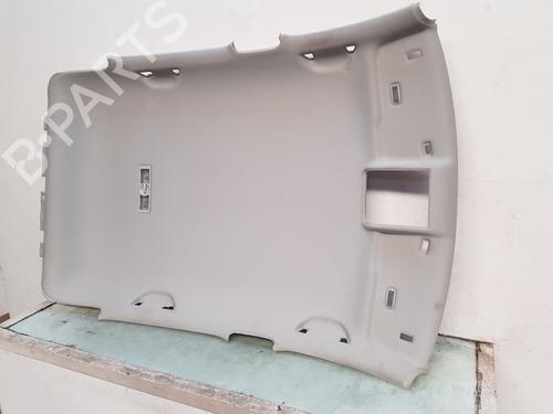 Interior roof VW POLO V (6R1, 6C1) 1.2 TDI | BP29240472I12 