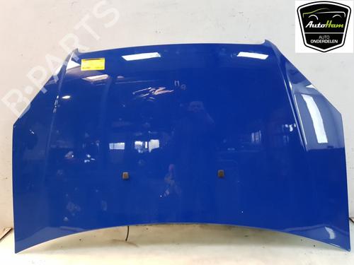 Hood FIAT DOBLO Box Body/MPV (223_) 1.3 JTD 16V Multijet | BP17122027C1 