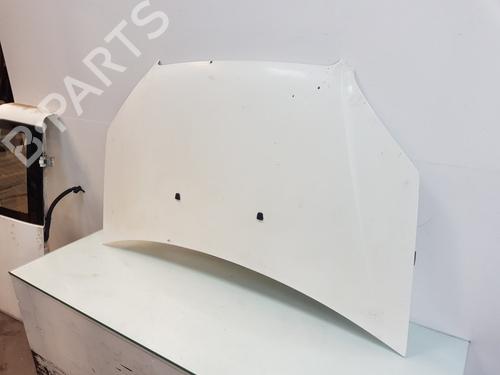 Hood FIAT DOBLO Box Body/MPV (223_) 1.3 D Multijet | BP12036344C1 