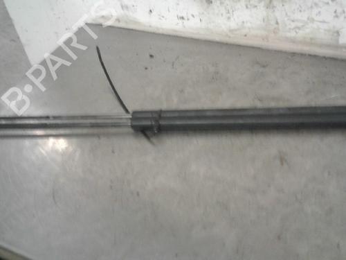 Used Tailgate lift support FORD FIESTA V (JH_, JD_) 1.3 (69 hp) 13142632