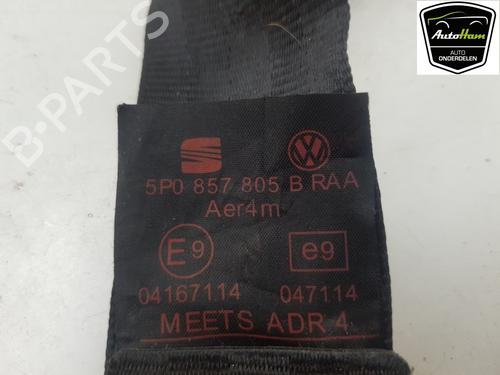 Rear left seatbelt SEAT ALTEA (5P1) 1.6 | BP12039157I29 