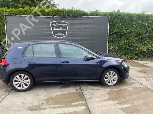 Right rear door VW GOLF VII (5G1, BQ1, BE1, BE2) 1.6 TDI | BP29025493C5 