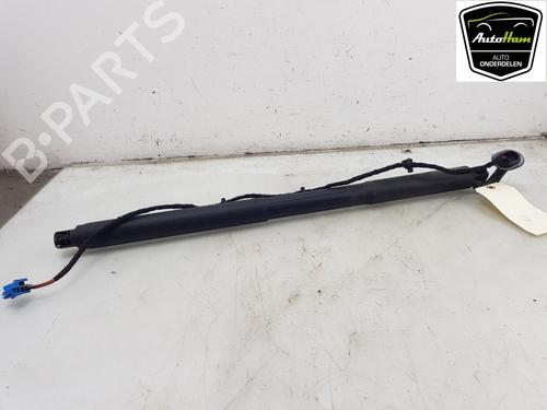 Used Electronic module MERCEDES-BENZ GLE Coupe (C292) 350 d 4-matic (292.323, 292.324) (258 hp) 21795794