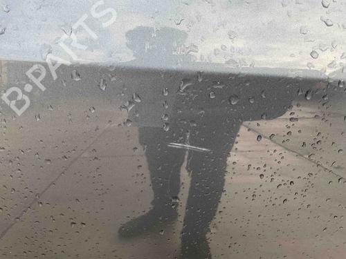 Right rear door TOYOTA COROLLA Saloon (_E21_) 1.8 VVTi Hybrid | BP30143702C5 